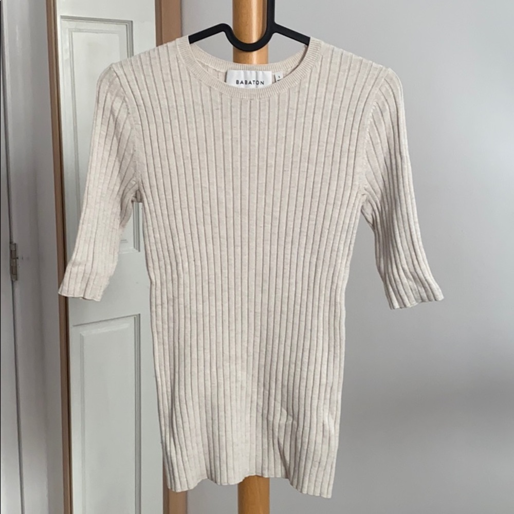 Aritzia Babaton sweatshirt